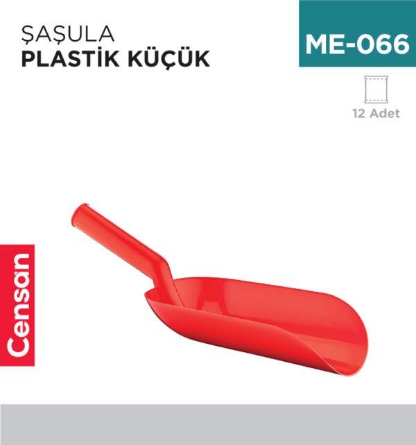 ŞAŞULA KÜÇÜK ZAMBAK (ZP 126)